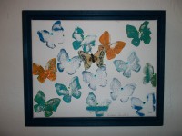 /album/fotogalerie/schmetterlinge-24x30-gerahmt-jpg/